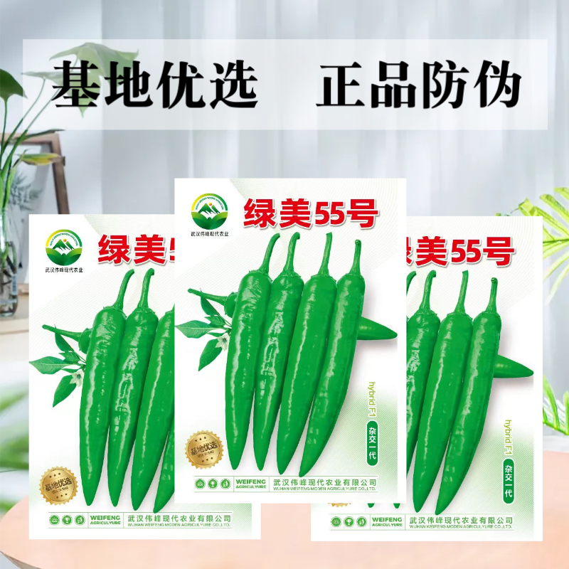 【绿美55号】薄皮羊角椒皱皮辣椒种子基地优选越夏延秋种植