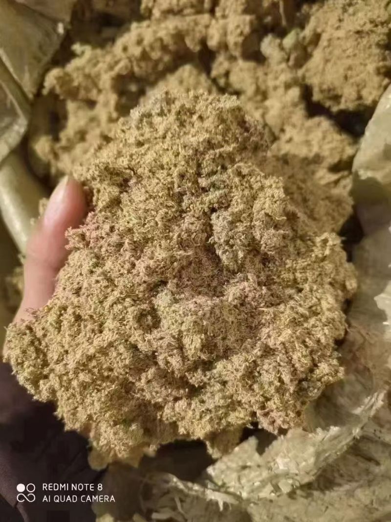 南阳石磨提取黄金绒艾柱艾条大炮灸七公分雷火灸艾灸馆中医馆
