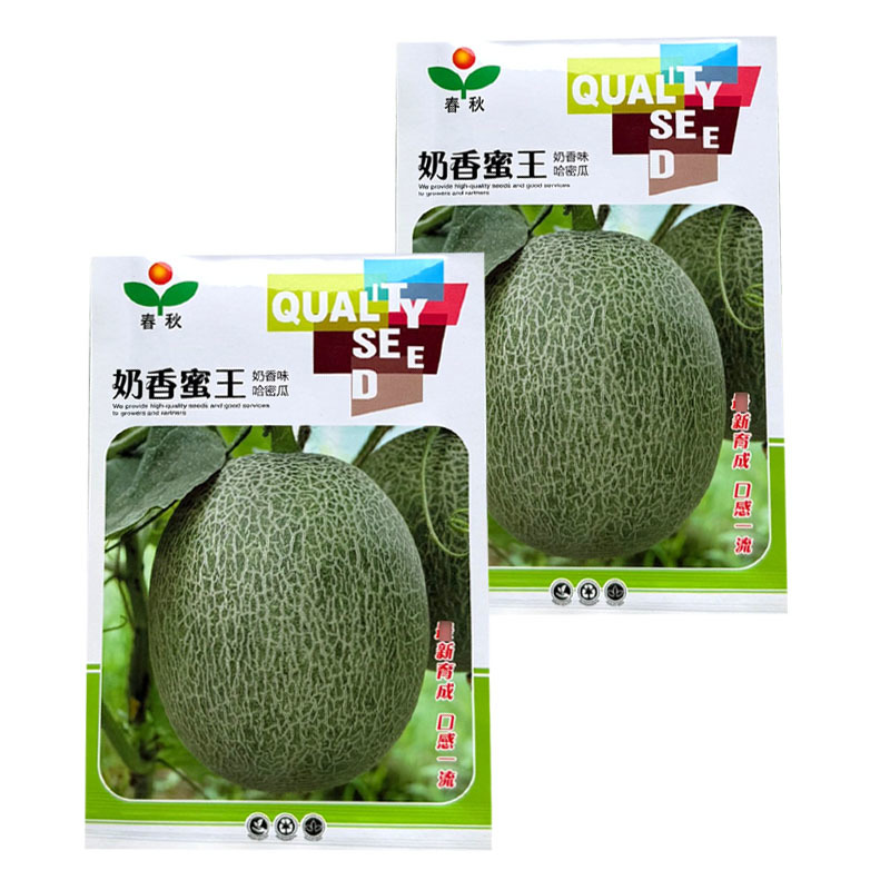 奶香蜜王哈密瓜种子网纹瓜种籽果肉橘红肉厚口感脆基地用