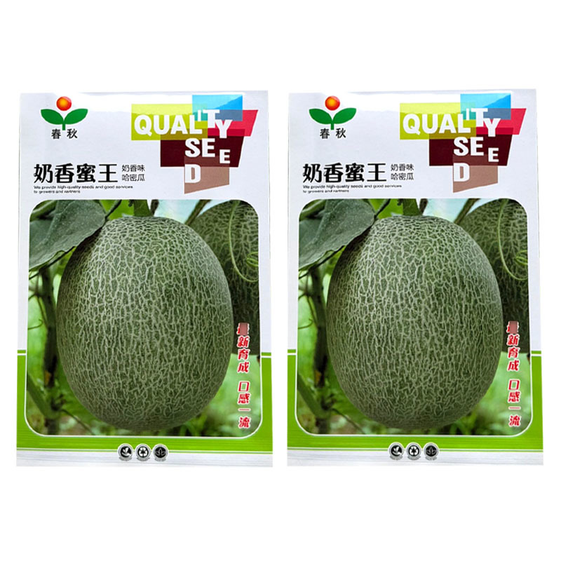 奶香蜜王哈密瓜种子网纹瓜种籽果肉橘红肉厚口感脆基地用