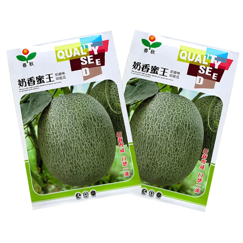 奶香蜜王哈密瓜种子网纹瓜种籽果肉橘红肉厚口感脆基地用