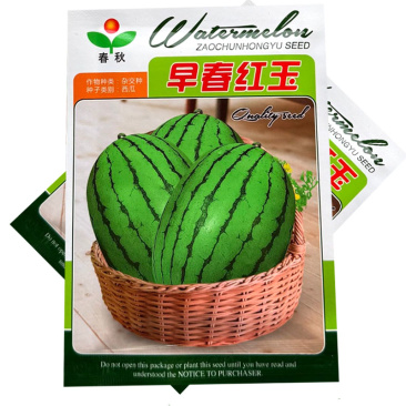 早春红玉西瓜种子礼品型红肉西瓜种籽大红瓤皮薄耐裂基地用