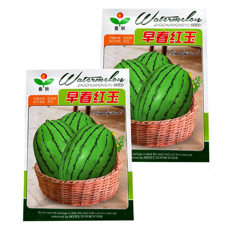早春红玉西瓜种子礼品型红肉西瓜种籽大红瓤皮薄耐裂基地用
