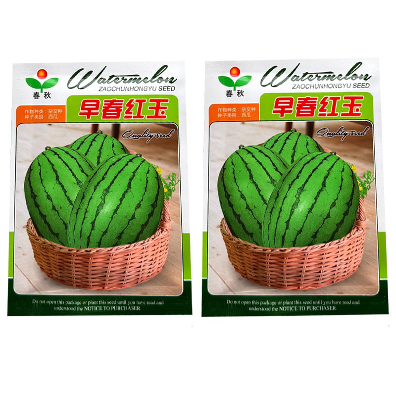 早春红玉西瓜种子礼品型红肉西瓜种籽大红瓤皮薄耐裂基地用