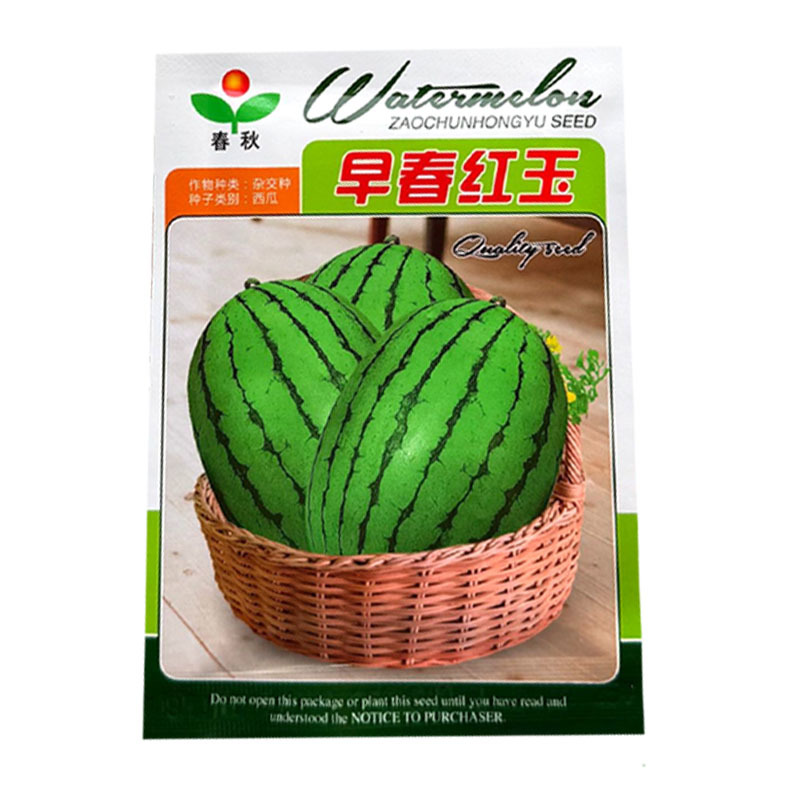 早春红玉西瓜种子礼品型红肉西瓜种籽大红瓤皮薄耐裂基地用