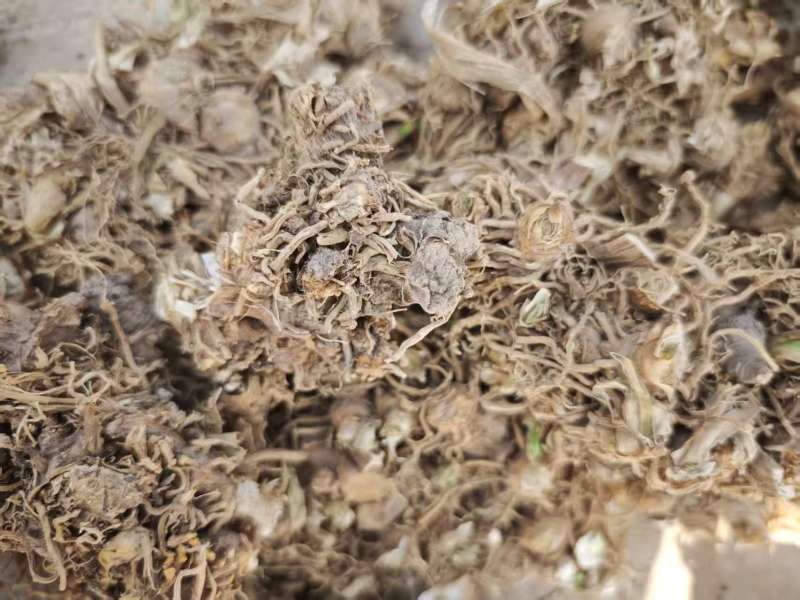 射干【新乡射干】中药材承接各类订单价格美丽实惠