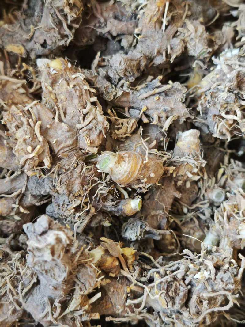 射干【新乡射干】中药材承接各类订单价格美丽实惠