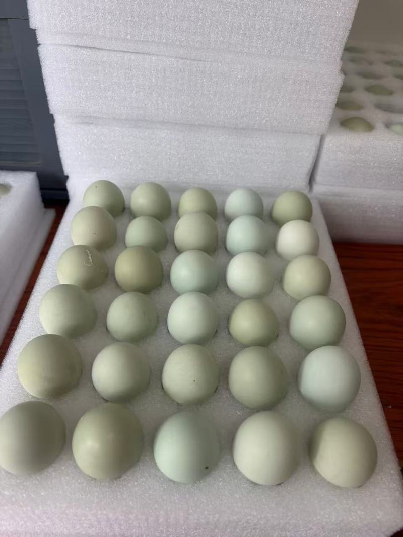 【热卖】黑凤土鸡蛋量大质优价格优惠一手货源欢迎采购