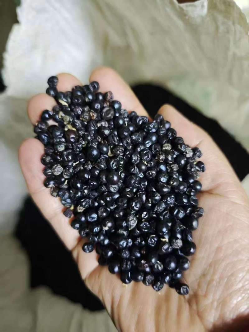 射干籽，射干根茎，中药基地，全品类代发诚信经营