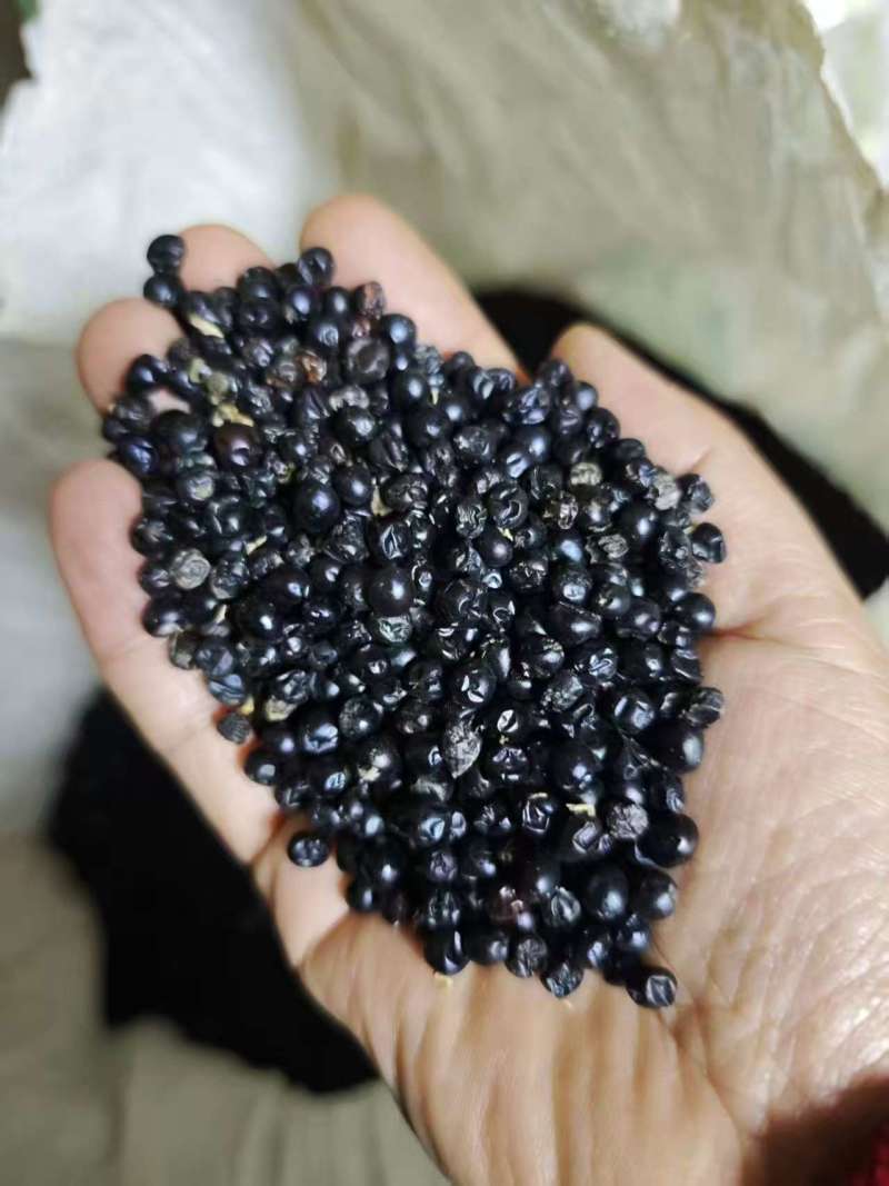 射干籽，射干根茎，中药基地，全品类代发诚信经营