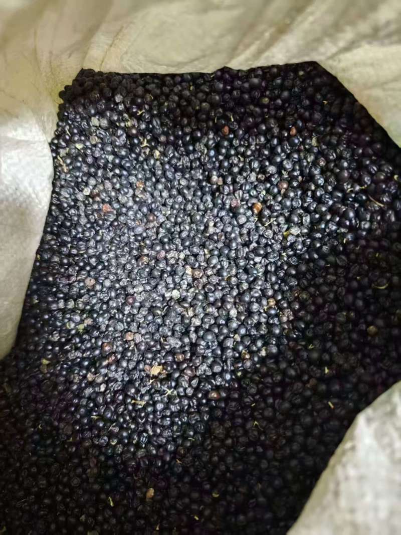 射干籽，射干根茎，中药基地，全品类代发诚信经营