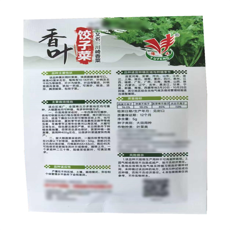 香叶饺子菜种子脆嫩清香高产川崎香菜