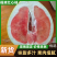 福建红心柚（精品柚子）规格齐全，可一件代发，批发视频看货