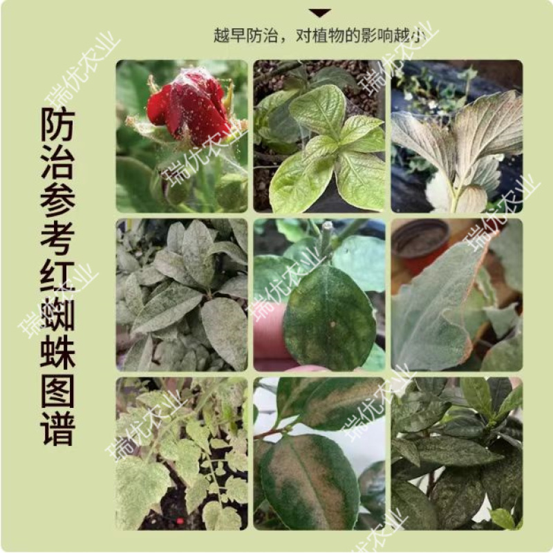 45%联肼乙螨唑红蜘蛛螨卵双杀柑橘红蜘蛛白蜘蛛锈壁虱杀螨
