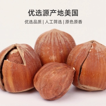 新鲜美国大榛子坚果零食熟榛果