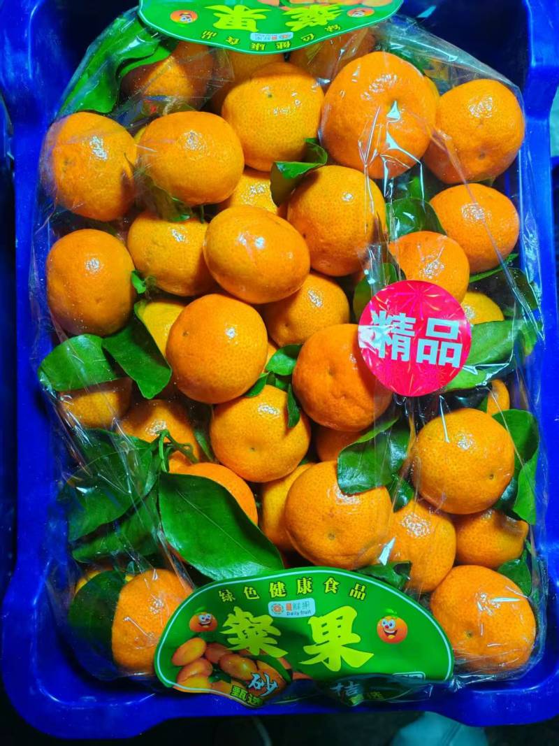爱媛果冻橙