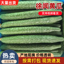 广东青瓜黄瓜口感好价格实惠运输便利诚信为本批发保质保量