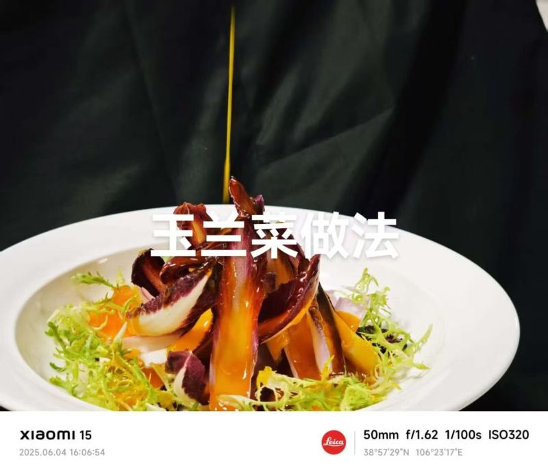 广东本地玉兰菜/金玉兰菜/量大价优/诚信经营/欢迎咨询
