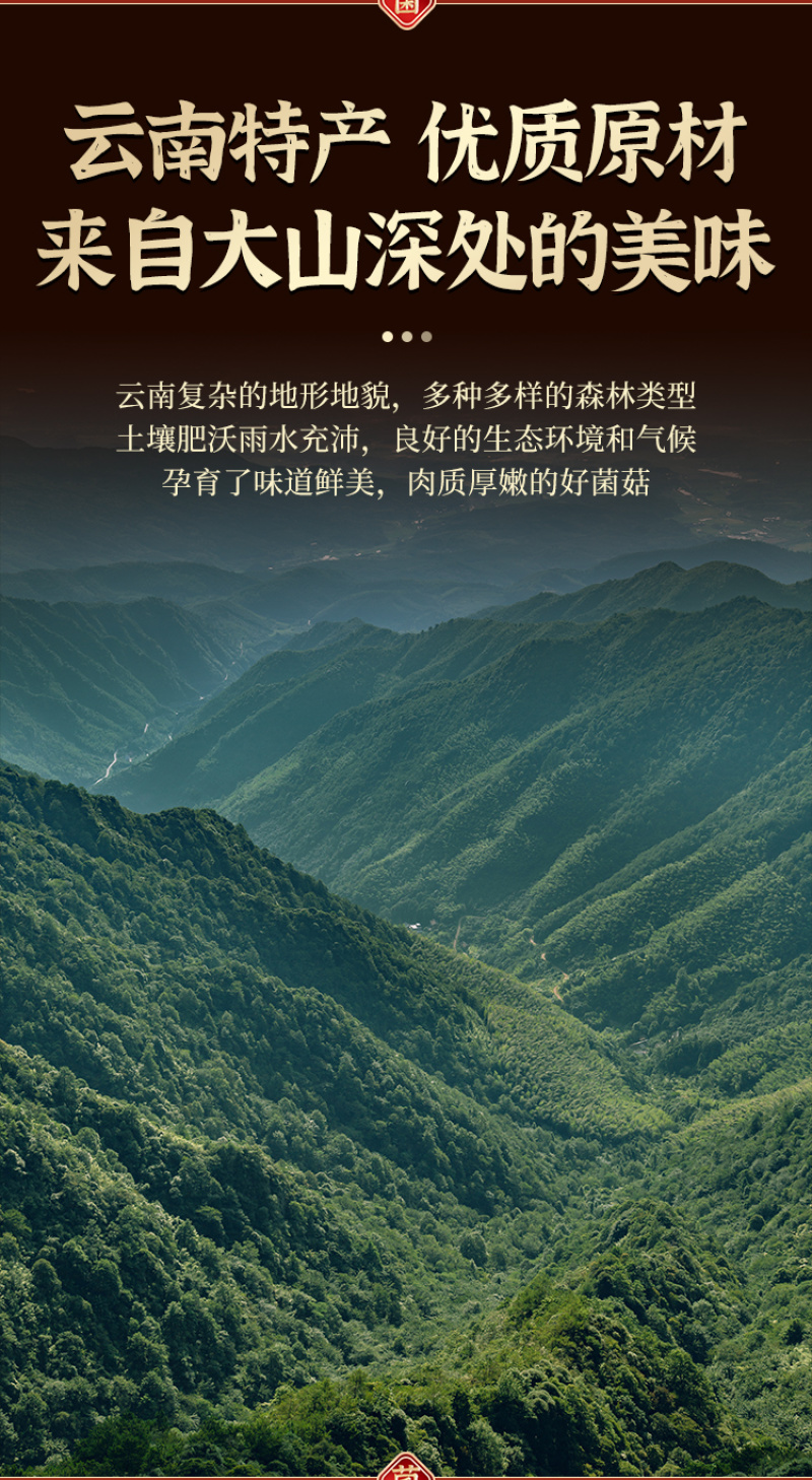 羊肚菌松露汤包云南七彩菌汤包山珍菌汤包一件代发黑松露汤包
