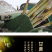 云南红糖手工制作纯甘蔗汁熬制原汁叶子红糖产妇月子红糖