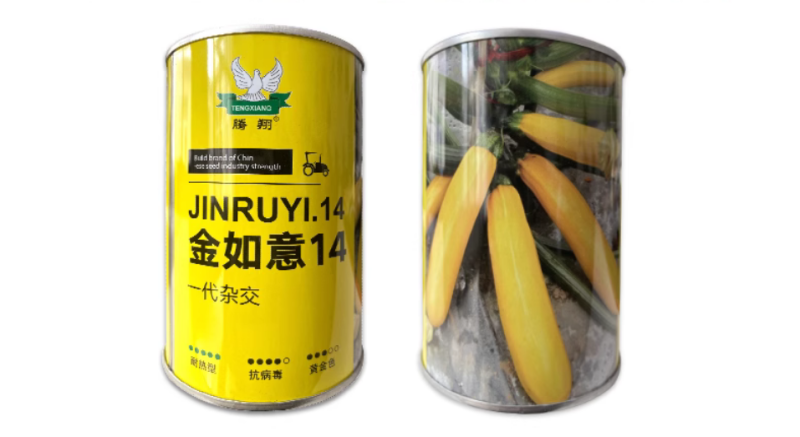 金如意14香蕉西葫芦种子水果型茭瓜种子基地高产