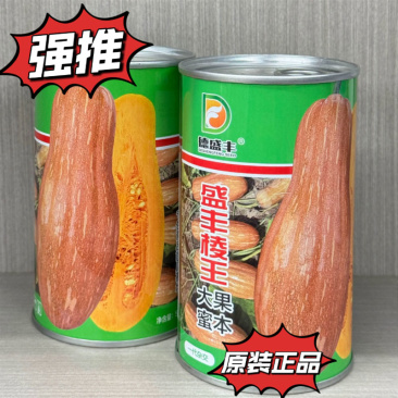 盛丰棱王大果蜜本南瓜种子大蜜本南瓜种子超甜粉面南瓜