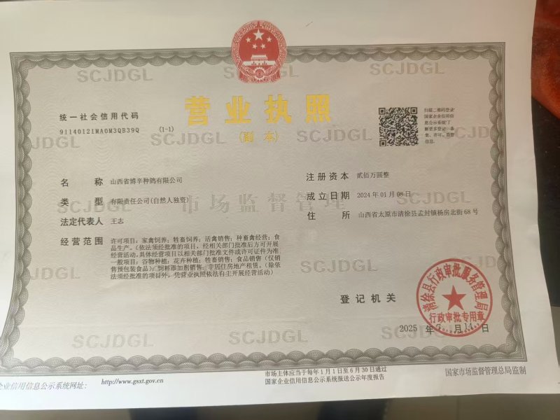 山西太原清徐县工厂直发卤乳鸽肉口味齐全可按需包装