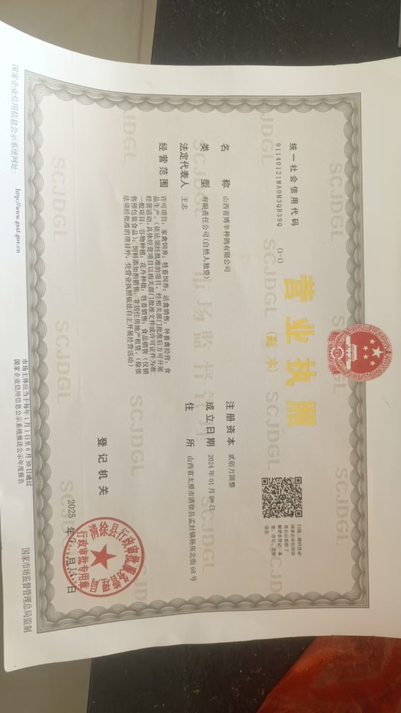 卤乳鸽真空包装熟食鸽子原味香辣味都有山西太原工厂直发