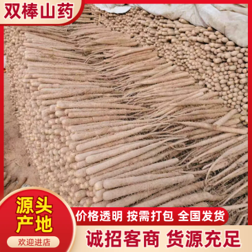 双棒山药产地直供支持商超电商批发市场档口欢迎采购量大从优