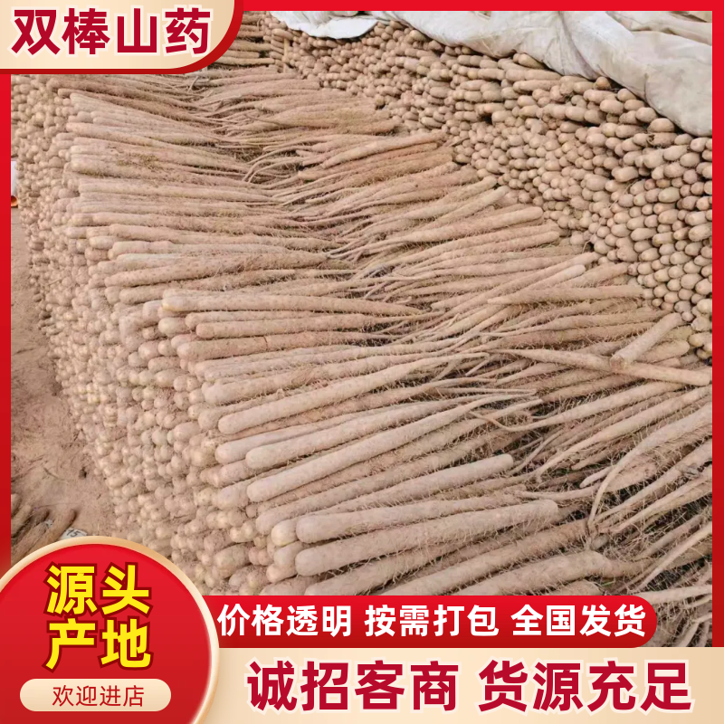 双棒山药产地直供支持商超电商批发市场档口欢迎采购量大从优