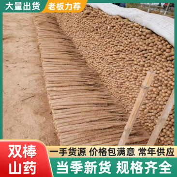 双棒山药产地直供支持商超电商批发市场档口网袋等按需包装