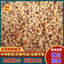 广西桂圆肉煲汤泡茶生吃口感好，清甜可口，欢迎客商来电咨询