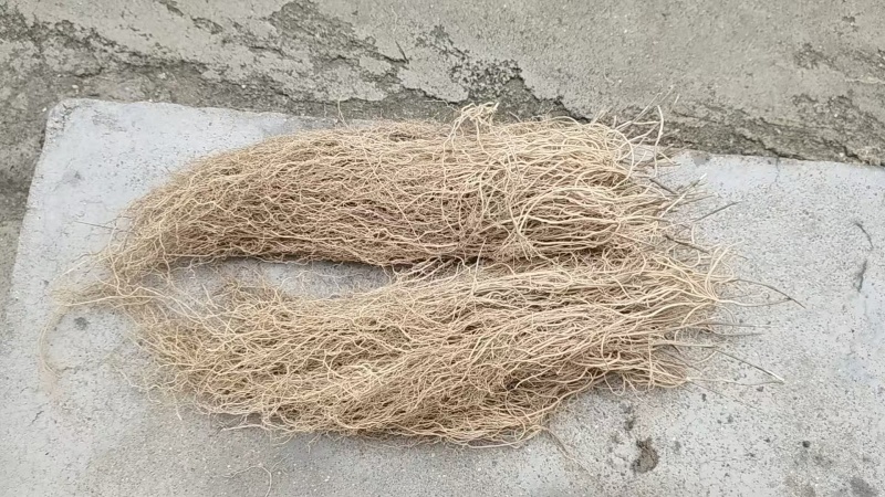 徐长卿新货全根全草不加苗图片和实物一样欢迎电联