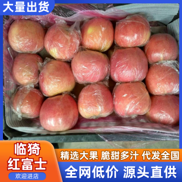 山西水晶富士苹果纸+膜袋规格齐全量大价优欢迎咨询合作