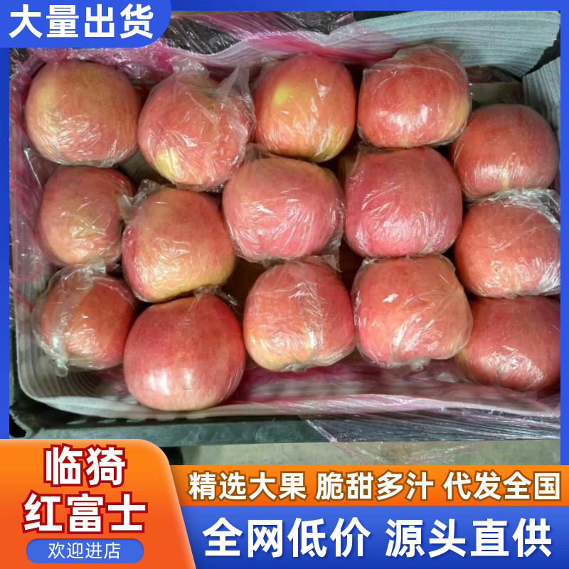 山西水晶富士苹果纸+膜袋规格齐全量大价优欢迎咨询合作