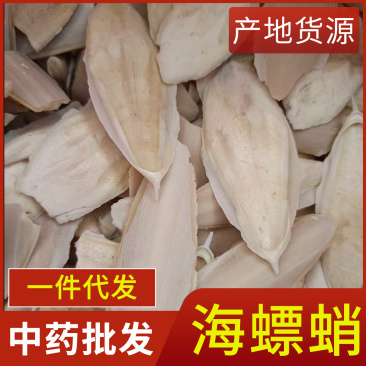 现货供应海螵蛸规格齐全
