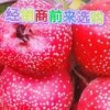 李永华的一亩田店铺
