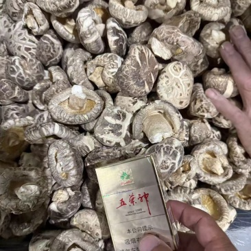 随州特产天白花香菇