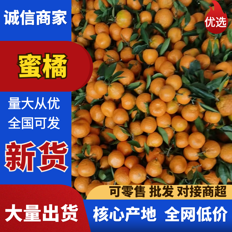 南丰蜜橘品质保证服务周到一手货源价格美丽