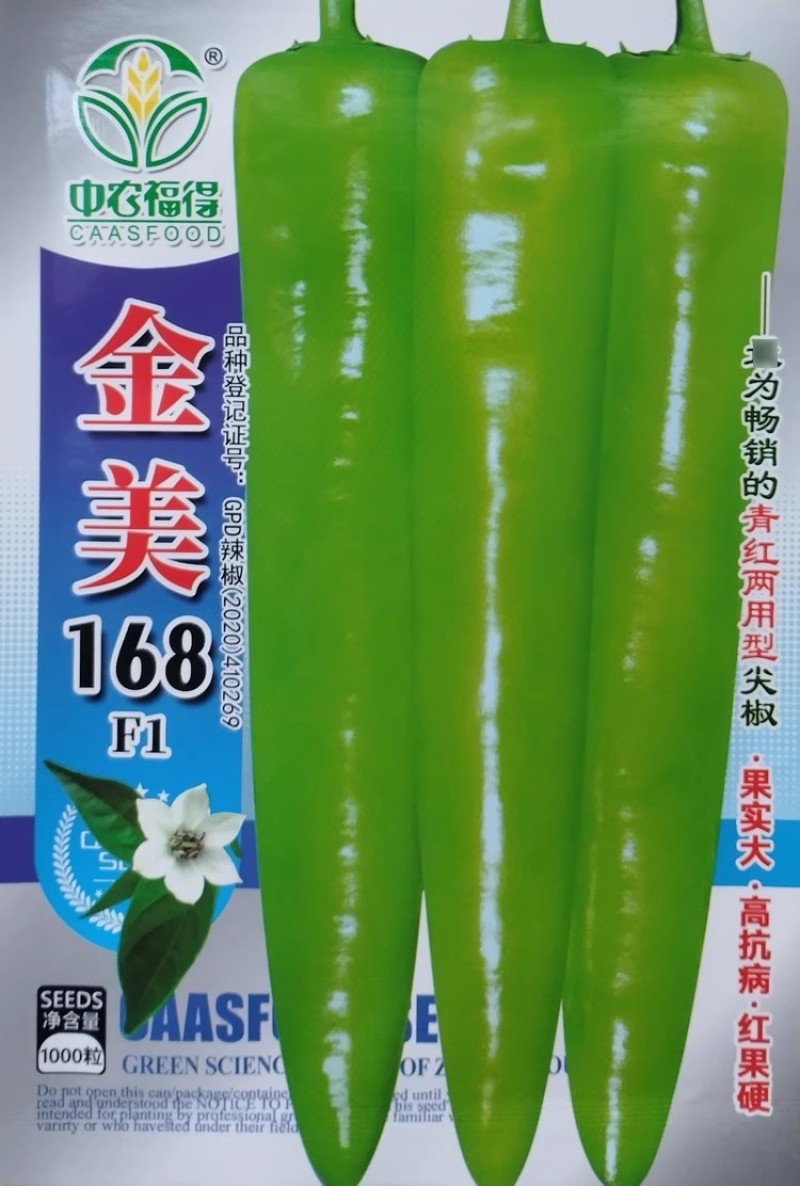 金美168青红两用尖椒种子大果型抗病杂交早熟黄绿皮辣椒种