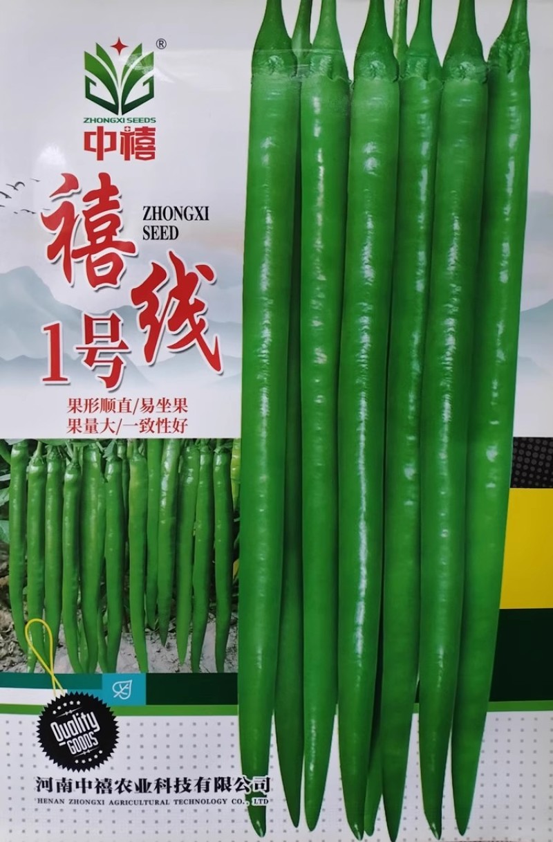 禧线1号辣椒种子杂交加长型线椒种籽香辣味浓油绿顺直座果多