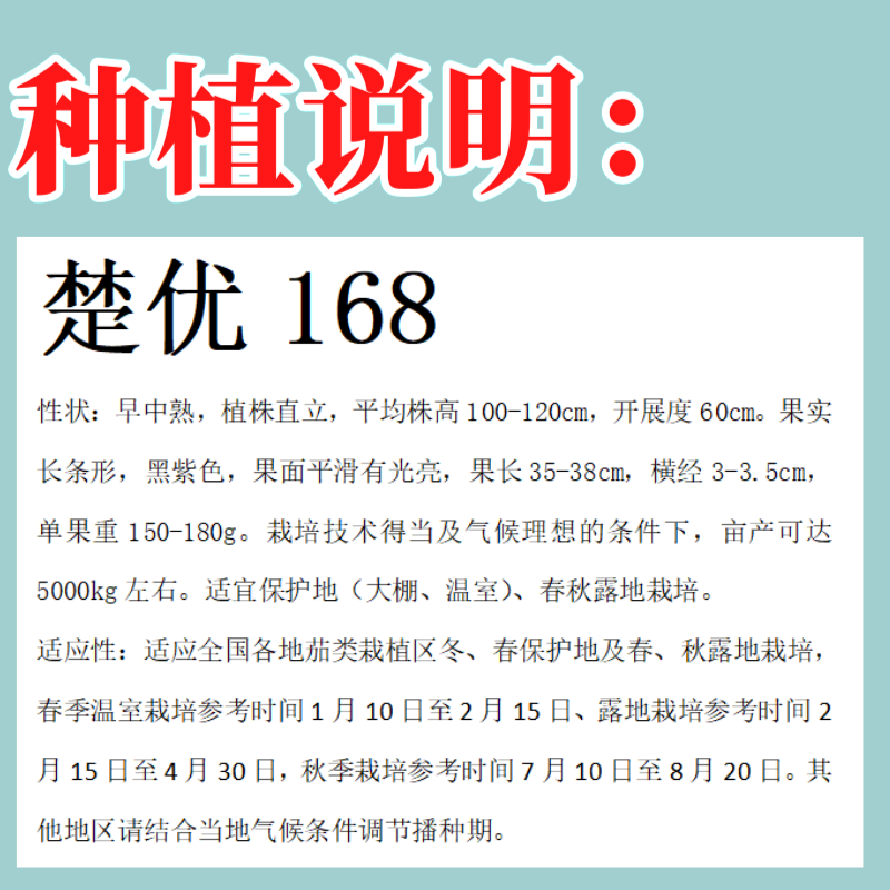 【楚优168】紫黑长茄种子基地优选中早熟茄子高产早春延秋