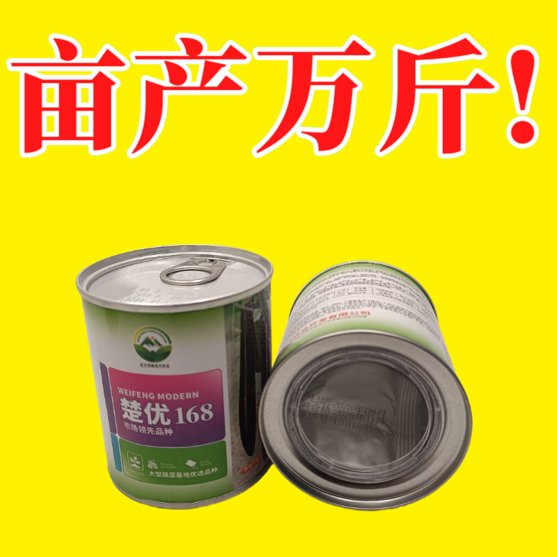 【楚优168】紫黑长茄种子基地优选中早熟茄子高产早春延秋