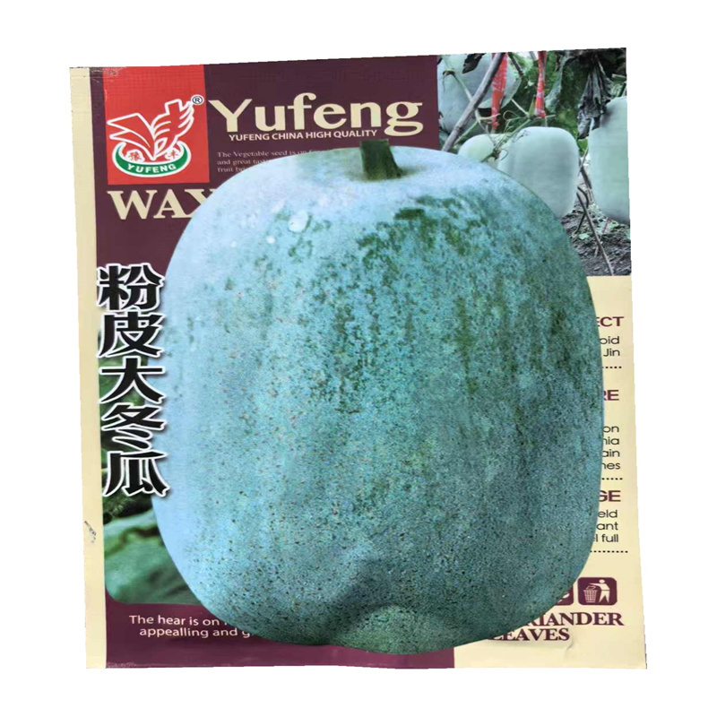 粉皮大冬瓜种子巨型大冬瓜种子中晚熟抗病高产基地