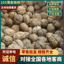 云南楚雄103薄皮核桃产地直发品质保证欢迎来电咨询