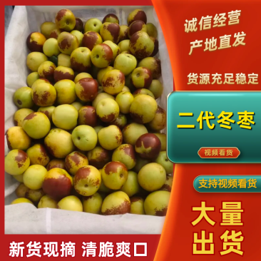 (精选)冬枣(鲜枣)诚信经营、客户至上。