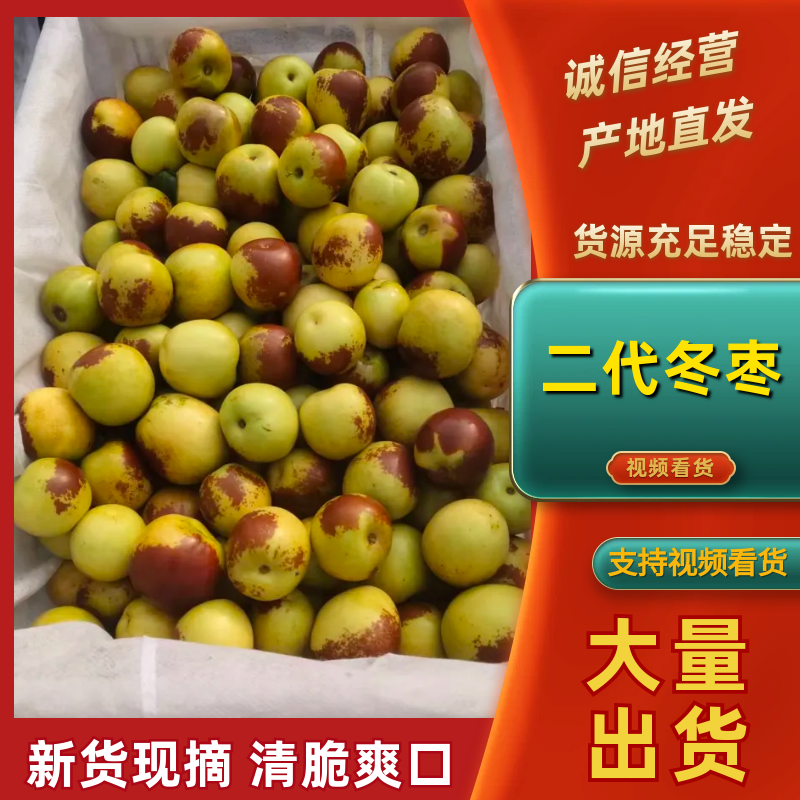 (精选)冬枣(鲜枣)诚信经营、客户至上。