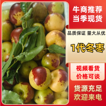 沾化大枣(脆枣王)到了成熟最佳时期，口感脆甜、价格便宜。