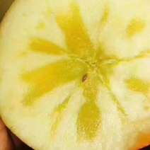 红富士苹果80mm以上纸+膜袋
