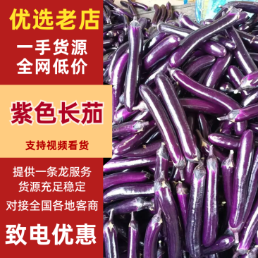 紫色长茄子紫茄子广东茄子价格实惠运输便利基地直发保质保量